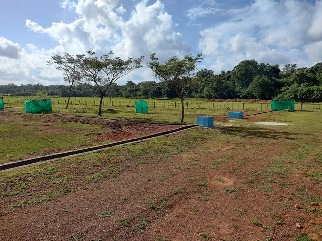 Plot for Sale in Husari village, Sirsi, Uttara Kannada