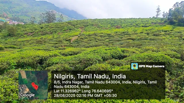 Agricultural Land for Sale in belithala indranagar, Ooty