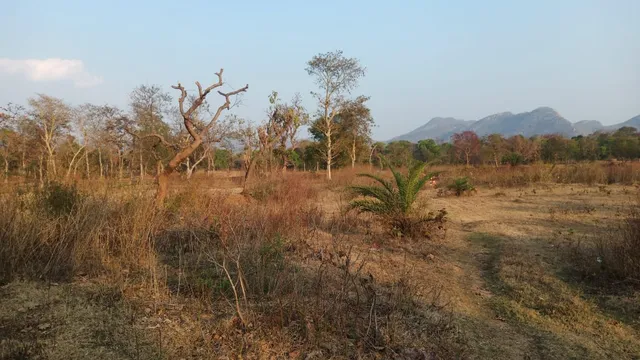 Commercial Land for Sale in Jhalda, Purulia