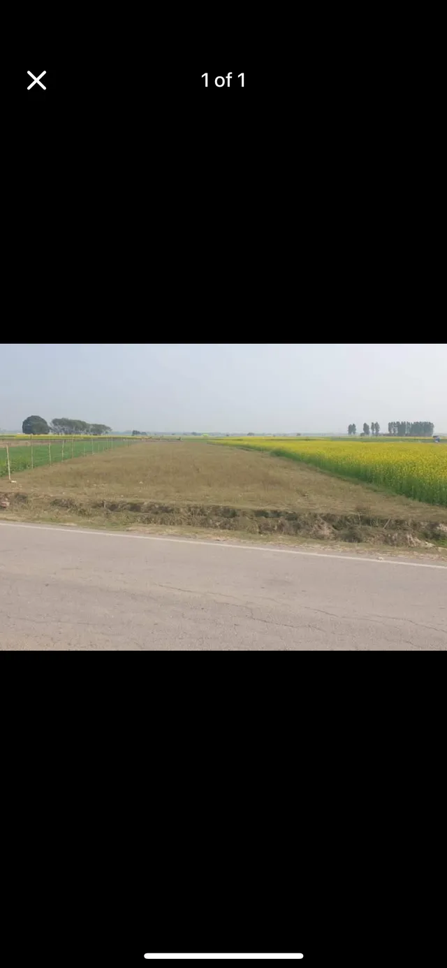 Plot for Sale in Jhusi, Jhusi