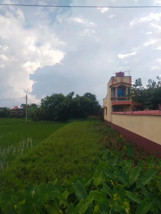 Agricultural Land for Sale in Haripal, Howrah