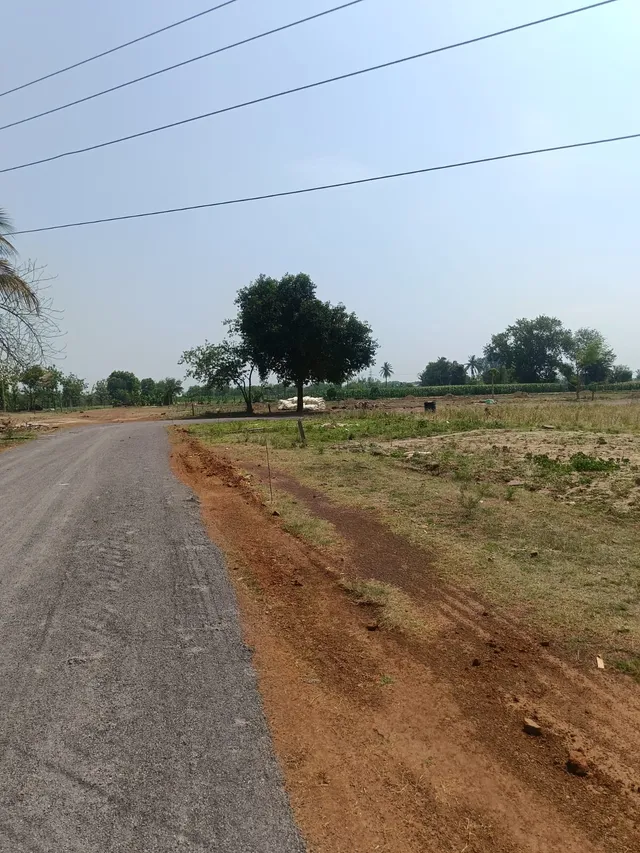 Agricultural Land for Sale in Datranga near Kushal Bhav Thakre University chhattisgarh, Raipur