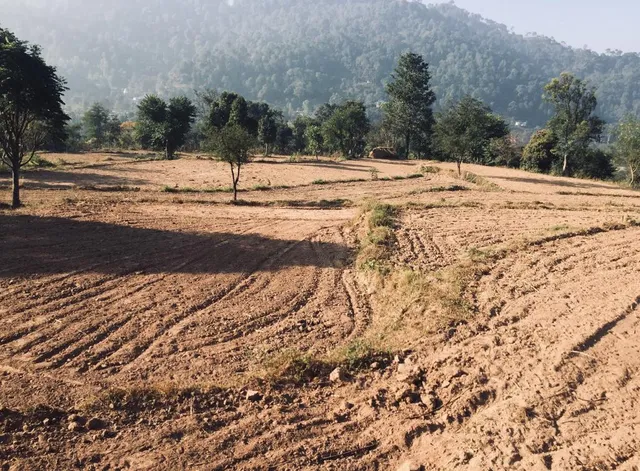 Agricultural Land for Sale in Krishan Garh, Solan
