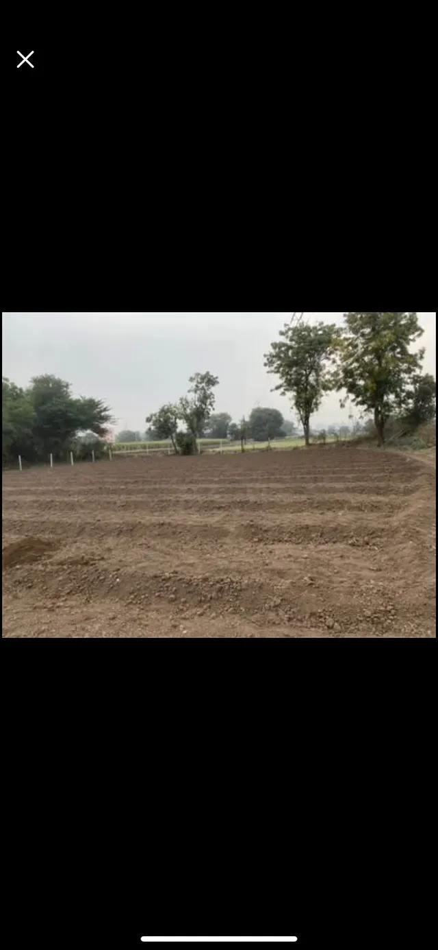 Agricultural Land for Sale in Urlidevachi, Pune