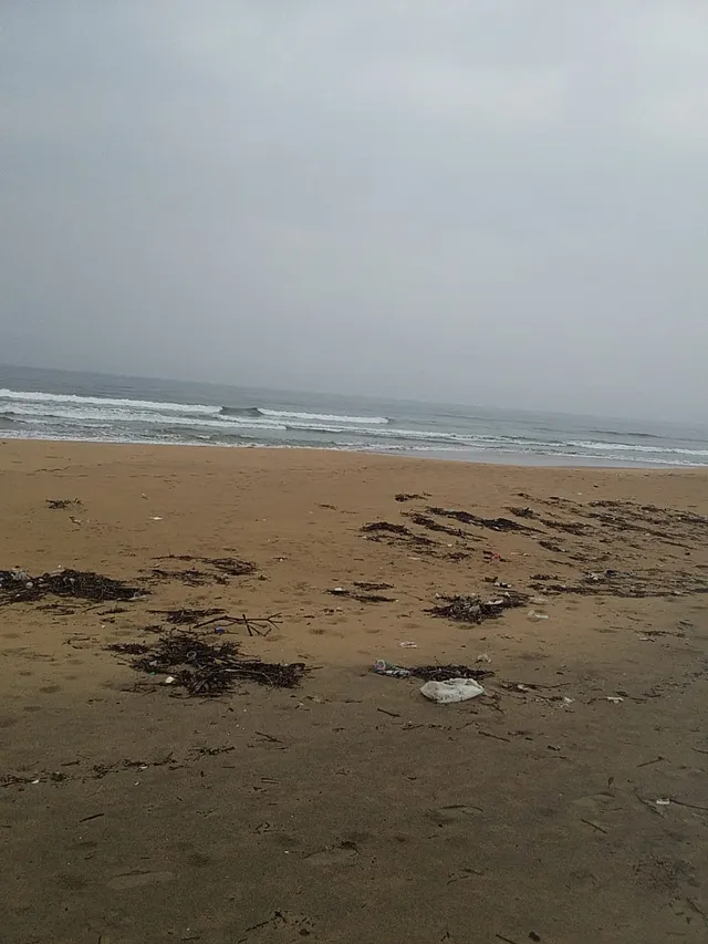 Commercial Land for Sale in Wayangani, Vengurla