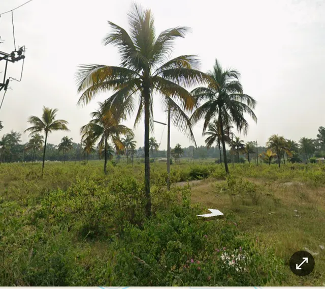 Plot for Sale in Ramanahalli hebbadi, Mysuru