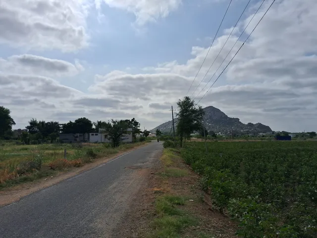 Agricultural Land for Sale in Manvi, Raichur